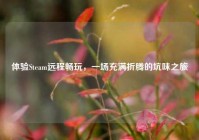体验Steam远程畅玩，一场充满折腾的坑味之旅