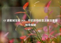 CF 道聚城宝箱 2020，开启游戏惊喜之旅及更新频率探秘
