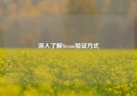深入了解Steam验证方式