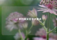 CF 中的搞笑名字大盘点