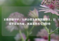 王者荣耀宇轩，从峡谷愣头青到国服野王，以实干诠释热爱，其真实姓名引发好奇