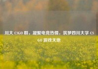 川大 CSGO 群，凝聚电竞热情，筑梦四川大学 CSGO 游戏天地