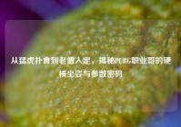 从猛虎扑食到老僧入定，揭秘PUBG职业哥的硬核坐姿与参数密码