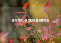 使命召唤16粉色防爆盾使用方法