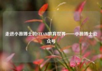 走进小薇博士的STEAM教育世界——小薇博士公众号