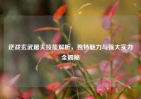 逆战玄武屠夫技能解析，独特魅力与强大实力全揭秘