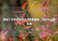 跨越十年的自我对话与青春回响，CSGO与CS2的区别