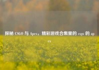 探秘 CSGO 与 Apex，精彩游戏合集里的 csgo 的 apex