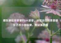 藏在微信背景里的LOL徽章，没说出口的青春都在这枚小图标里，附设置教程