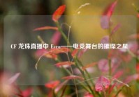 CF 龙珠直播中 Even——电竞舞台的璀璨之星