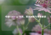 中国 CSGO App 市场，现状剖析与未来展望