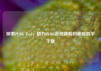 探索PUBG Tool，助力PUBG游戏体验的画质助手下载