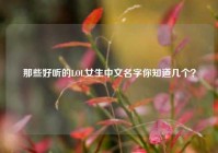 那些好听的LOL女生中文名字你知道几个？