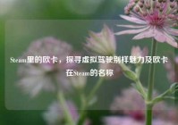 Steam里的欧卡，探寻虚拟驾驶别样魅力及欧卡在Steam的名称