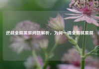 逆战全屏黑屏问题解析，为何一调全屏就黑屏