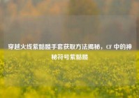 穿越火线紫骷髅手套获取方法揭秘，CF 中的神秘符号紫骷髅
