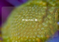 PD 玩 PUBG 啦