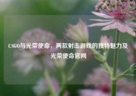 CSGO与光荣使命，两款射击游戏的独特魅力及光荣使命官网