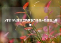 CF手游体验服激活码获取方法及体验服魅力解析