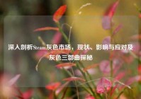 深入剖析Steam灰色市场，现状、影响与应对及灰色三部曲探秘