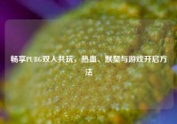 畅享PUBG双人共玩，热血、默契与游戏开启方法
