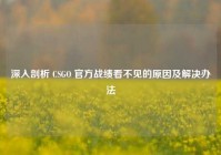 深入剖析 CSGO 官方战绩看不见的原因及解决办法