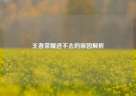 王者荣耀进不去的原因解析