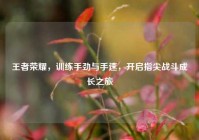 王者荣耀，训练手劲与手速，开启指尖战斗成长之旅