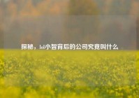 探秘，lol小智背后的公司究竟叫什么