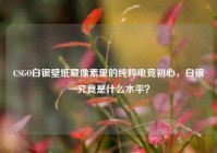 CSGO白银壁纸藏像素里的纯粹电竞初心，白银一究竟是什么水平？