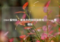 CSGO 模特队，赛场外的别样风景线——csgo 男模队