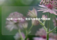 2022年CSGO平台，竞技与体验全方位剖析