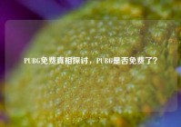 PUBG免费真相探讨，PUBG是否免费了？