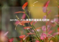 2019 PEL，PUBG赛事的璀璨高光时刻