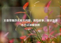 王者荣耀改名相关问题，背后故事、现状及改名方法深度剖析