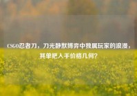 CSGO忍者刀，刀光静默博弈中独属玩家的浪漫，其单把入手价格几何？