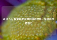 走进 Pubg 牧童解说吃鸡的精彩世界，领略其独特魅力