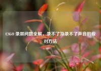 CSGO 录屏问题全解，录不了及录不了声音的应对方法