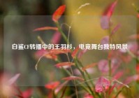 白鲨CF转播中的王羽杉，电竞舞台独特风景