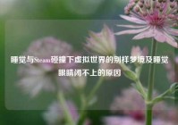 睡觉与Steam碰撞下虚拟世界的别样梦境及睡觉眼睛闭不上的原因