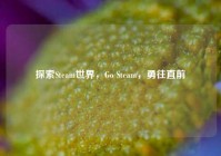 探索Steam世界，Go Steam，勇往直前