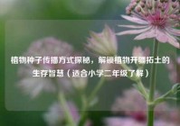 植物种子传播方式探秘，解锁植物开疆拓土的生存智慧（适合小学二年级了解）