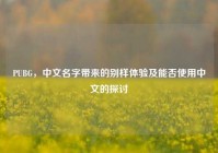 PUBG，中文名字带来的别样体验及能否使用中文的探讨