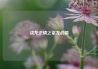 战龙逆鳞之紫龙战鳞