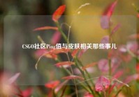 CSGO社区Ping值与皮肤相关那些事儿