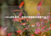 COD16战区金币，游戏关键财富及充值方法