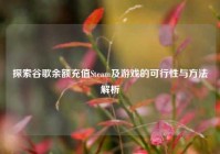 探索谷歌余额充值Steam及游戏的可行性与方法解析