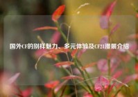 国外CF的别样魅力、多元体验及CF21漫展介绍