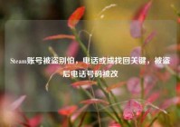 Steam账号被盗别怕，电话或成找回关键，被盗后电话号码被改