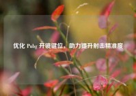 优化 Pubg 开镜键位，助力提升射击精准度